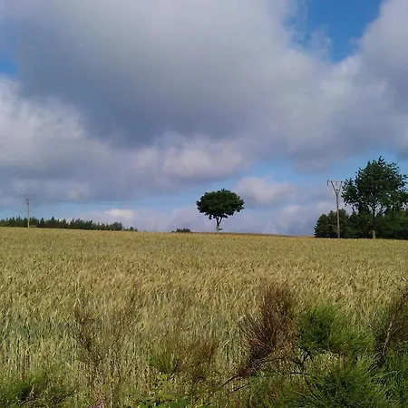 Ostwind Lejlighed
